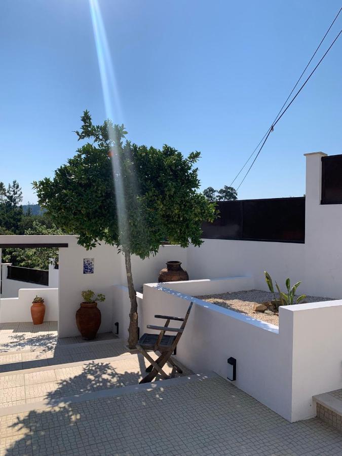 Casa Da Oliveira Bed and Breakfast Pedrogao Grande Exteriör bild