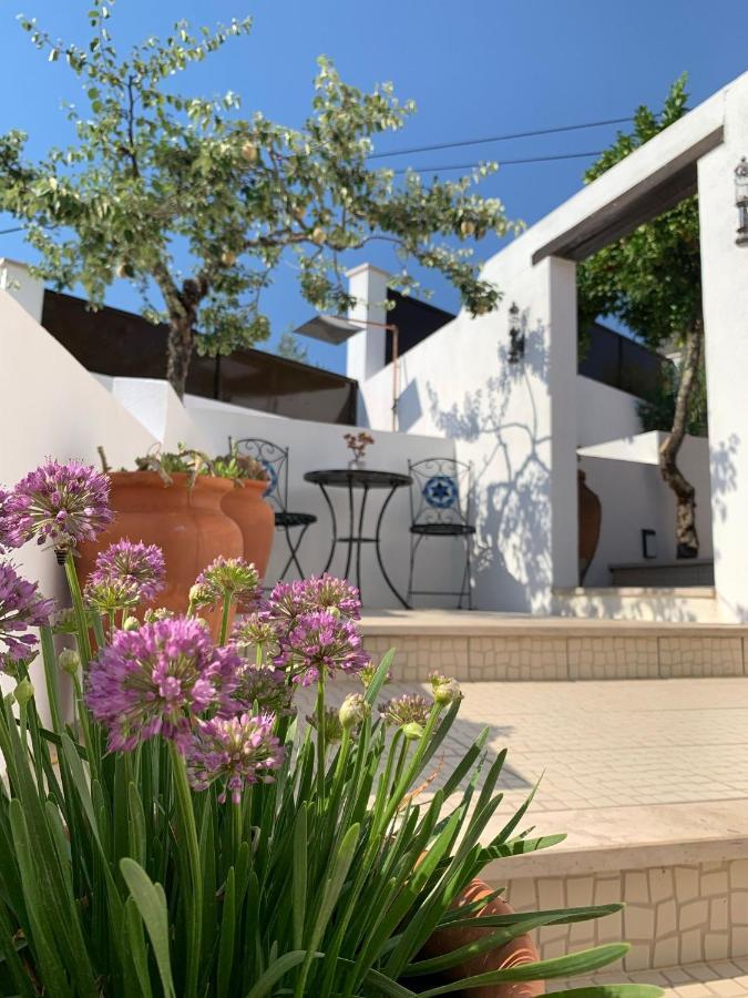 Casa Da Oliveira Bed and Breakfast Pedrogao Grande Exteriör bild