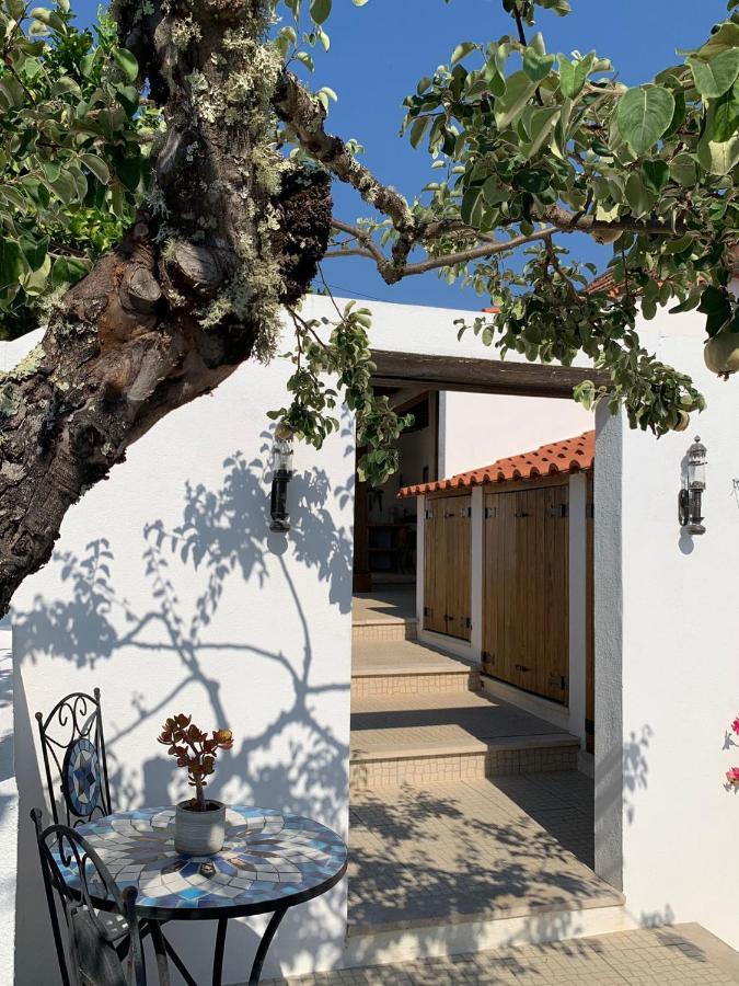 Casa Da Oliveira Bed and Breakfast Pedrogao Grande Exteriör bild