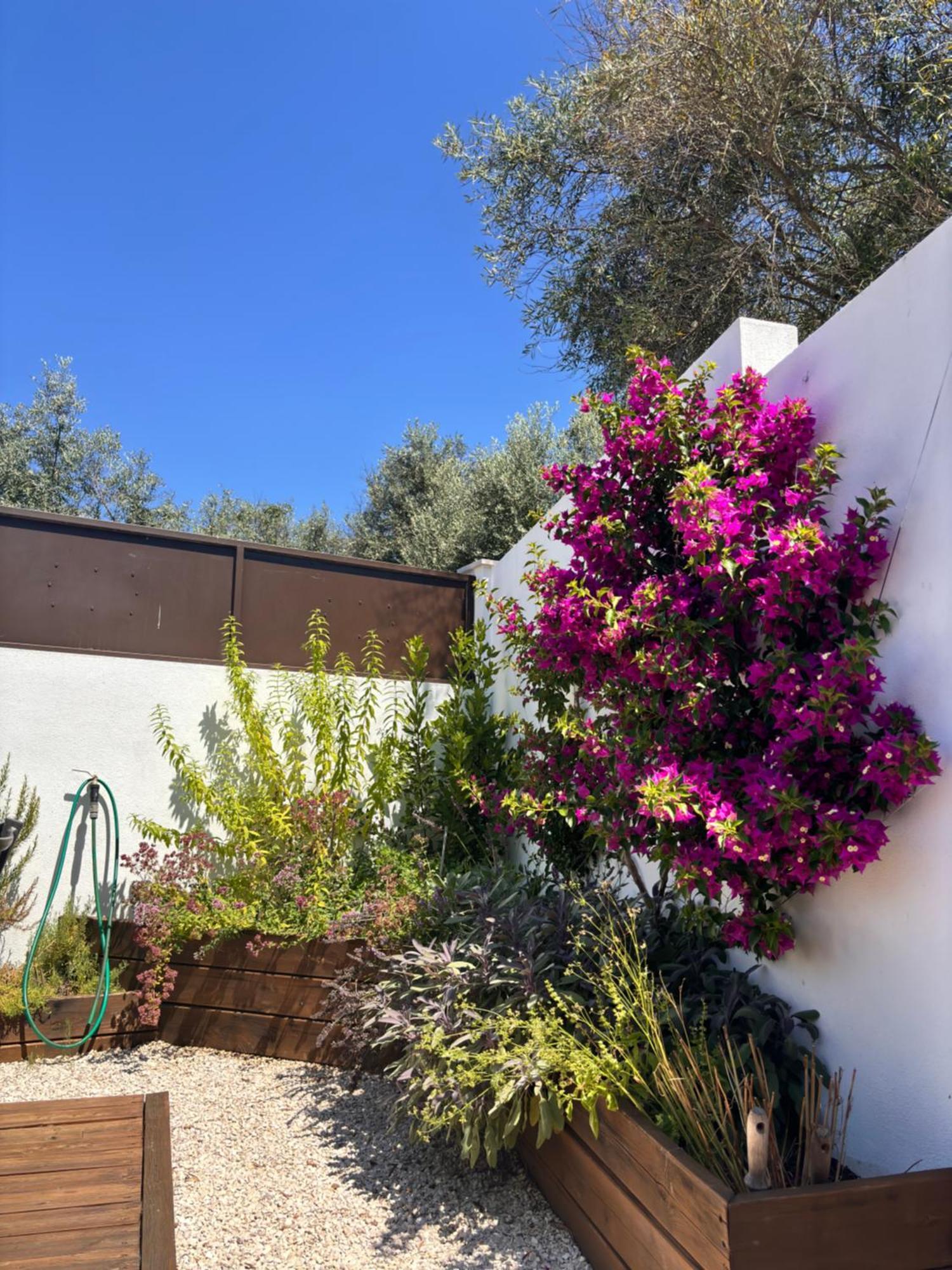 Casa Da Oliveira Bed and Breakfast Pedrogao Grande Exteriör bild