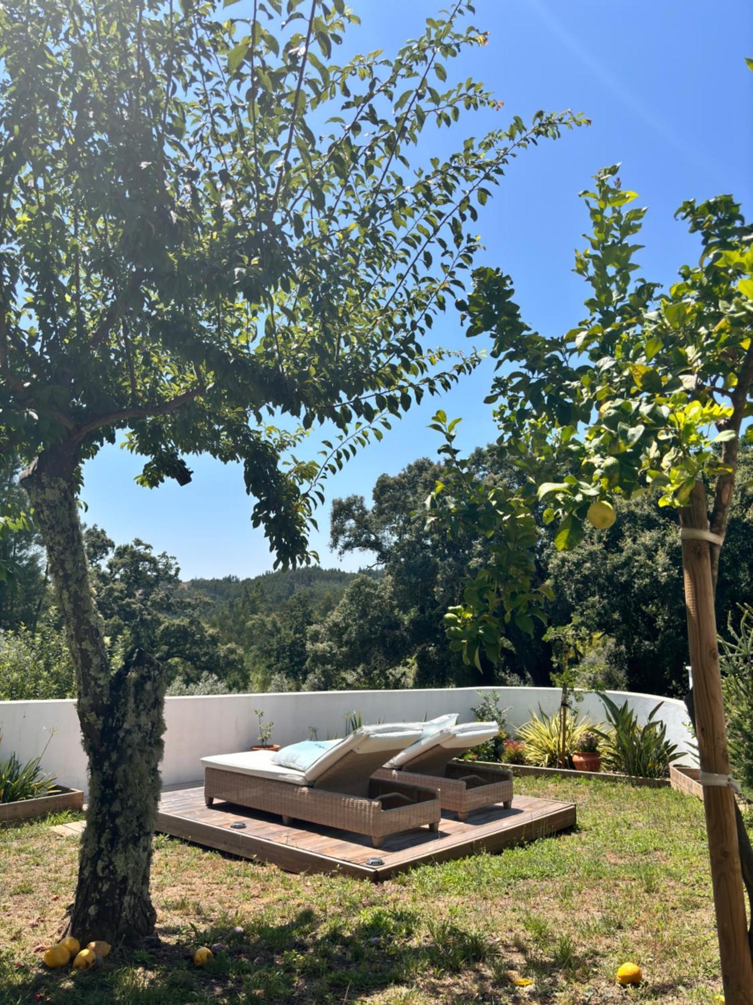 Casa Da Oliveira Bed and Breakfast Pedrogao Grande Exteriör bild