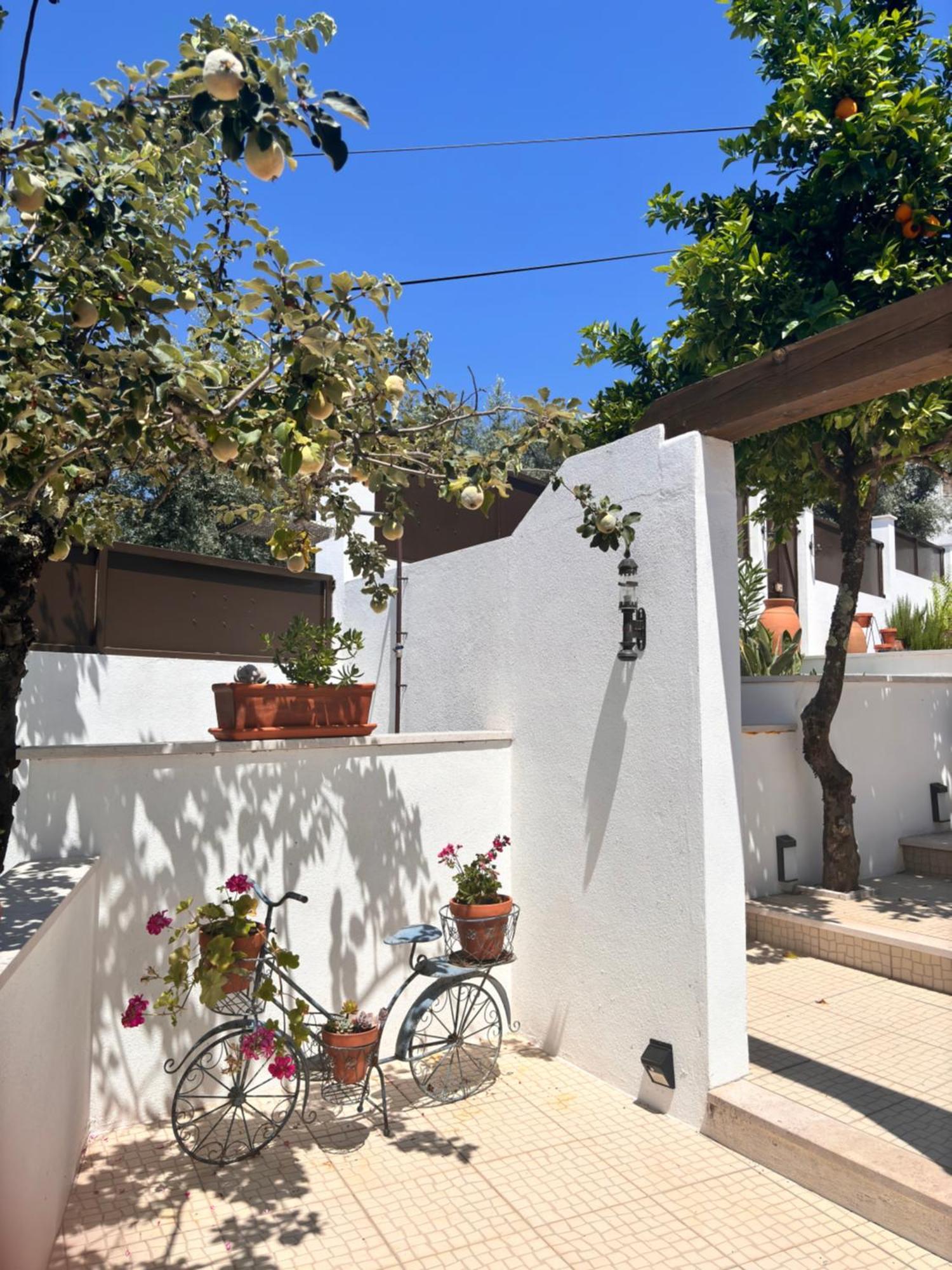 Casa Da Oliveira Bed and Breakfast Pedrogao Grande Exteriör bild